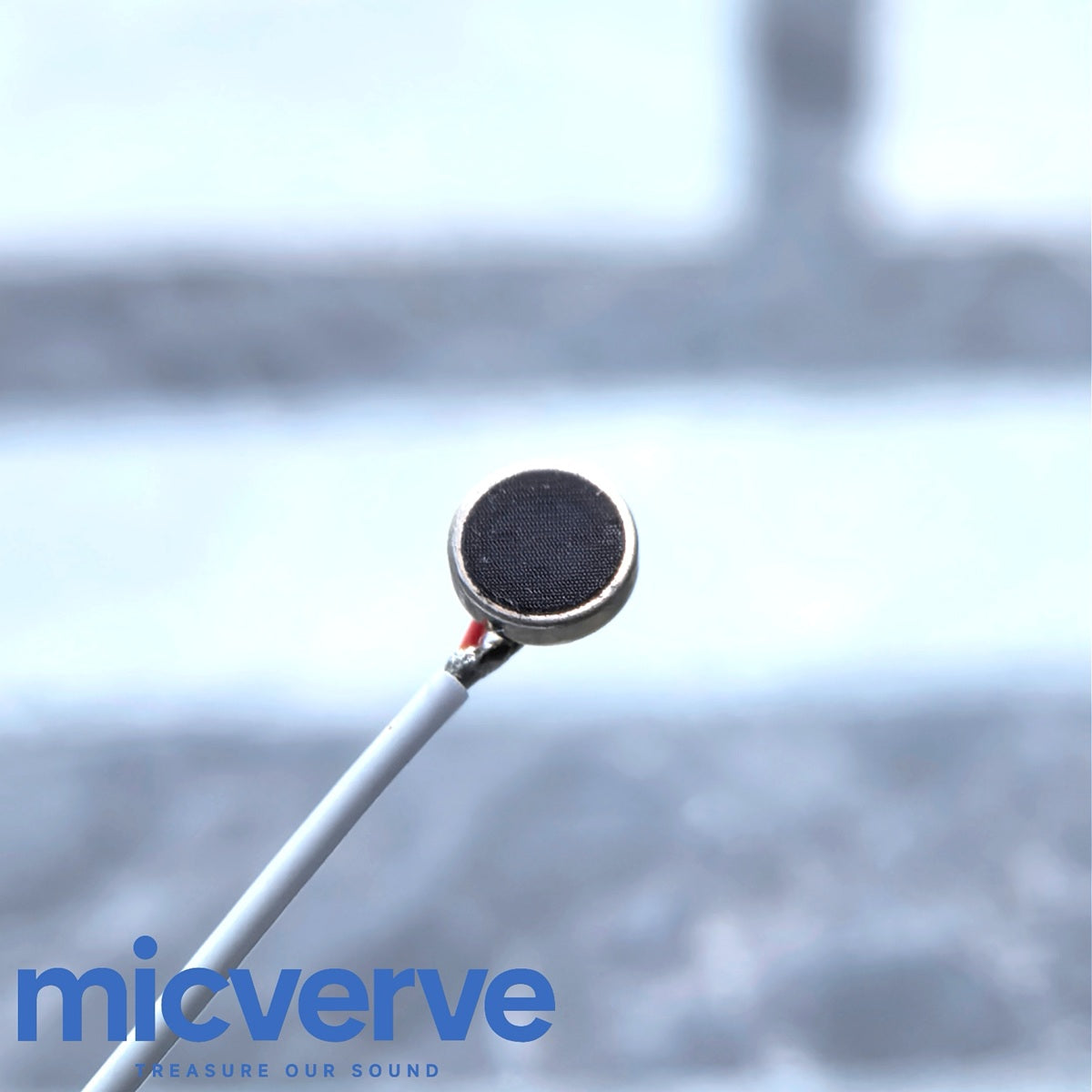 micverve
